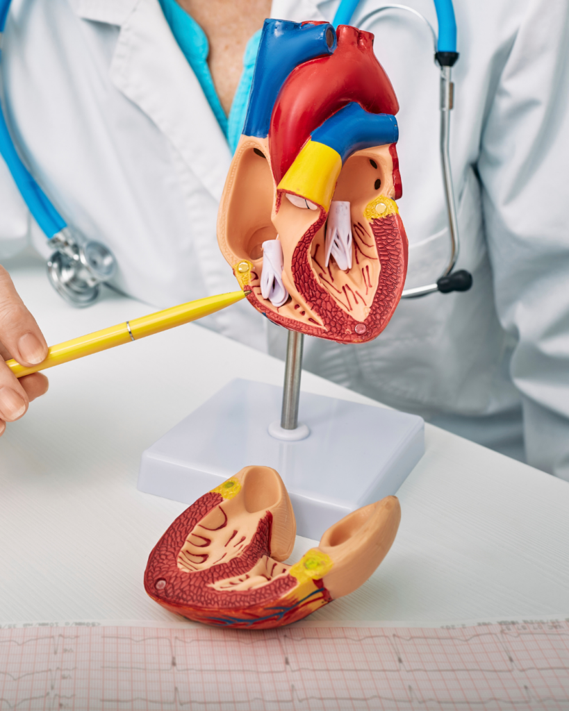 σύγκλειση ανοιχτού ωοειδούς τρήματος
cardiologist during examination