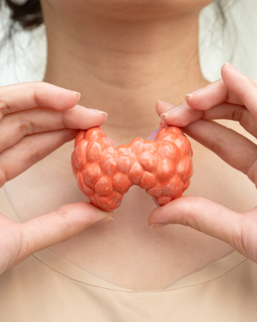 καρδιά και θυρεοειδής thyroid gland