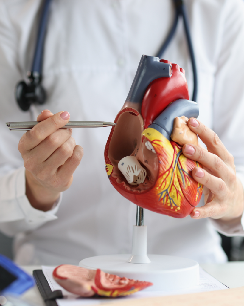 ηλεκτροφυσιολογική μελέτη cardiologist in action